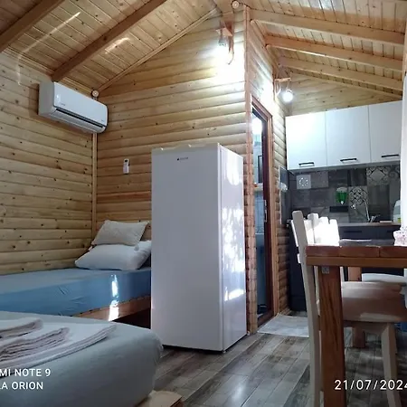 Orion Finike