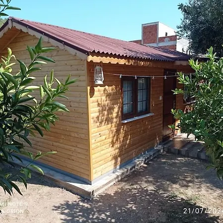 Orion בקתה פיניקה