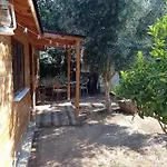 Chalet Orion